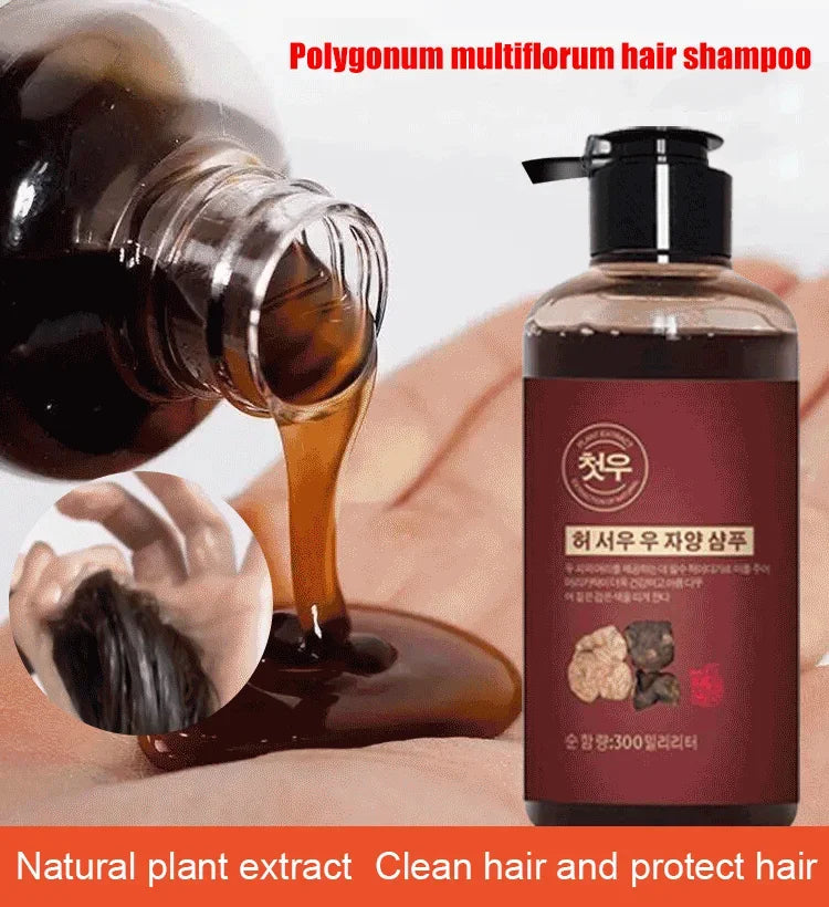 300ml Herbal Polygonum Multiflorum Shampoo for White & Grey Hair Growth