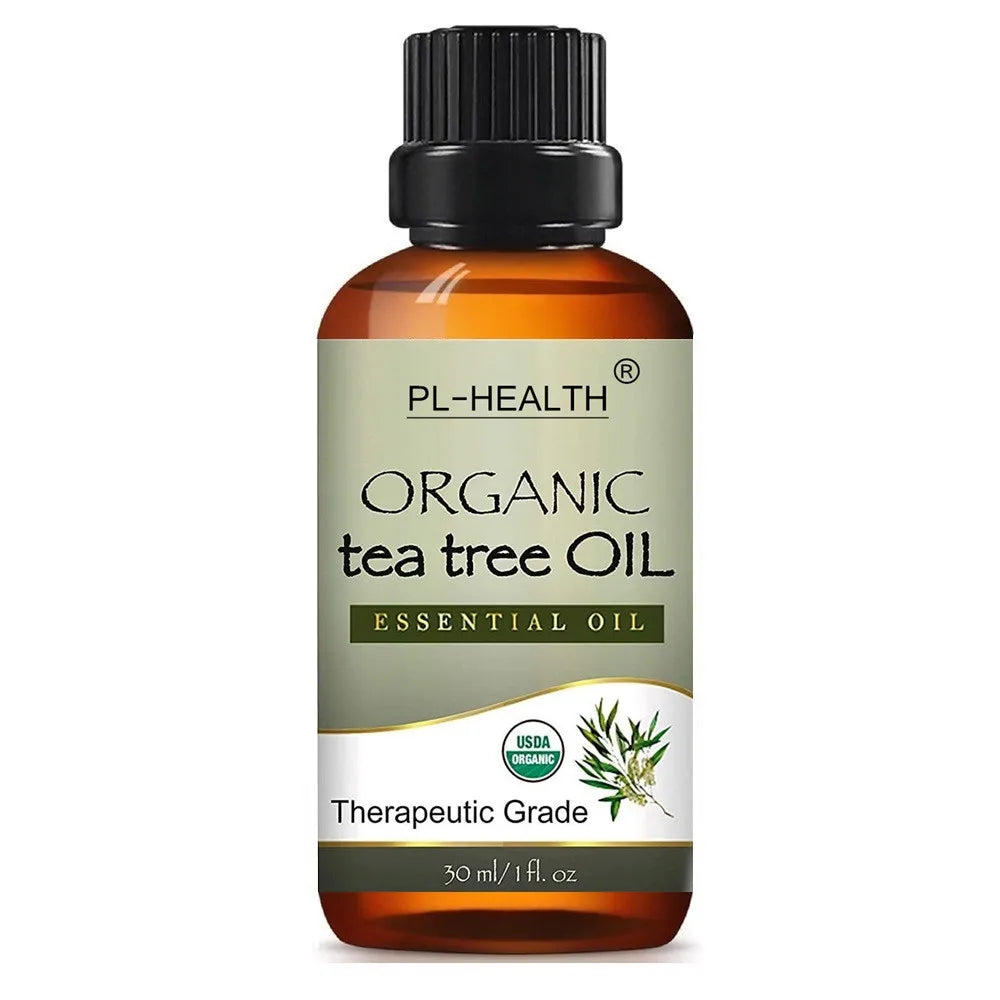 45644167348456|45644167381224|45644167413992|45644167446760