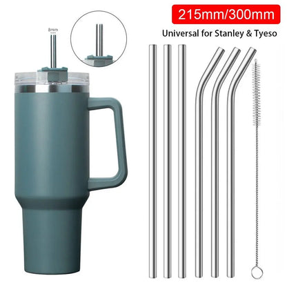 Stainless Steel Reusable Straws Set - 1 Piece, Straight and Bent, 6mm and 8mm, Silver, Fits Stanley 30oz/40oz Tyeso Cup